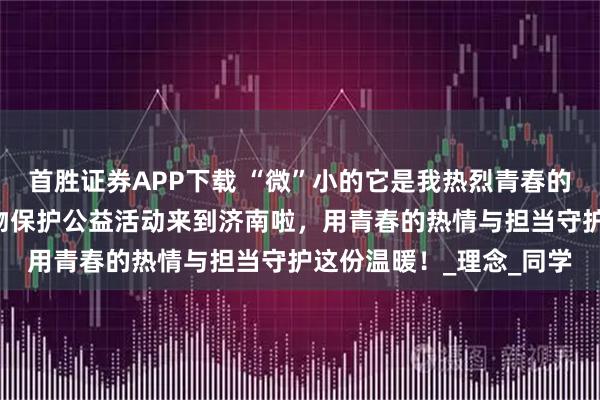 首胜证券APP下载 “微”小的它是我热烈青春的一“分子”全国高校动物保护公益活动来到济南啦，用青春的热情与担当守护这份温暖！_理念_同学