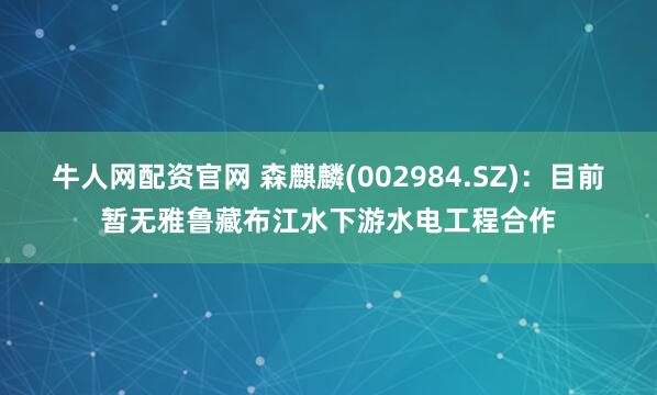 牛人网配资官网 森麒麟(002984.SZ)：目前暂无雅鲁藏布江水下游水电工程合作