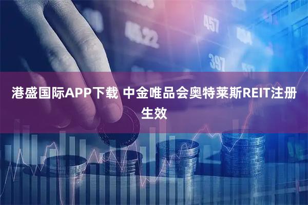 港盛国际APP下载 中金唯品会奥特莱斯REIT注册生效