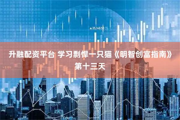 升融配资平台 学习剽悍一只猫《明智创富指南》第十三天