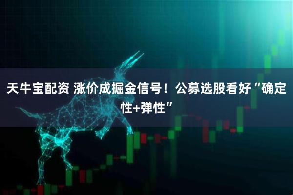天牛宝配资 涨价成掘金信号!公募选股看好“确定性+弹性”